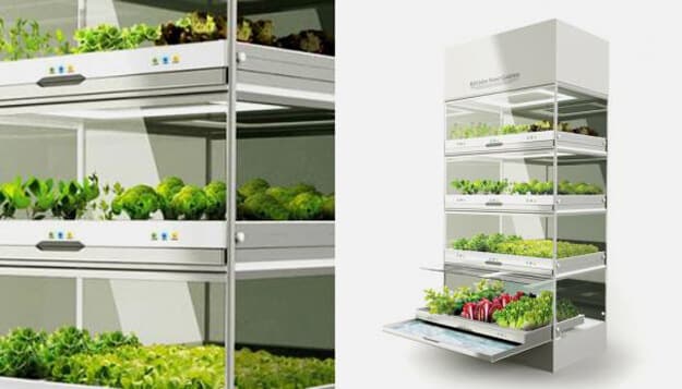 Você pode cultivar vegetais em um jardim tecnológico no seu apartamento