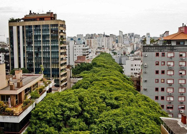 Rua Gonçalo de Carvalho – Que rua é essa?