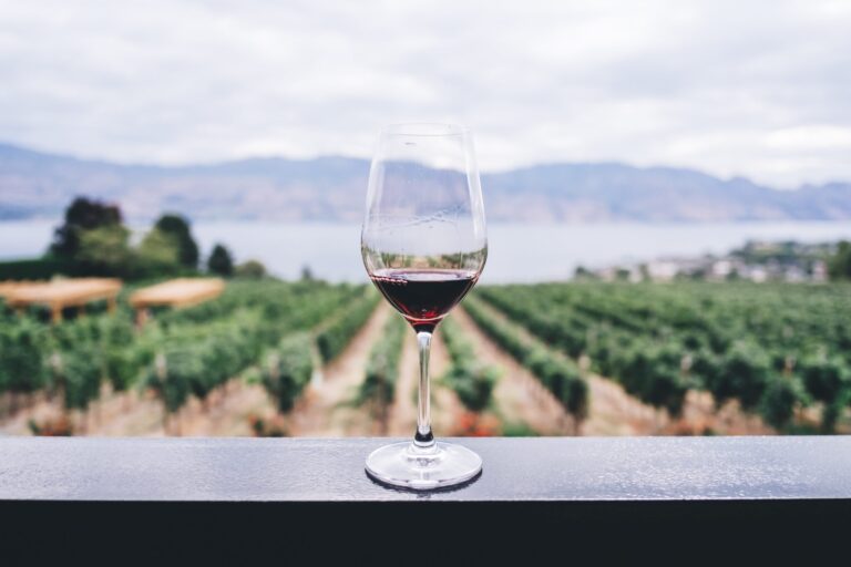 Tipos de vinho: desvendando o mundo dos vinhos