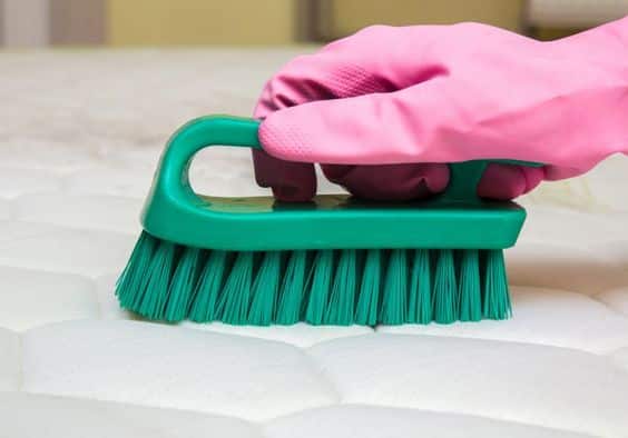 A melhor forma de limpar um colchão encardido é com o auxílio de uma escovinha de cerdas macias.