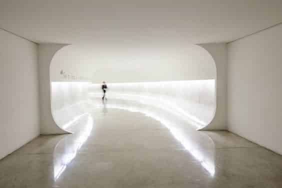 Exposições do Museu Oscar Niemeyer. 