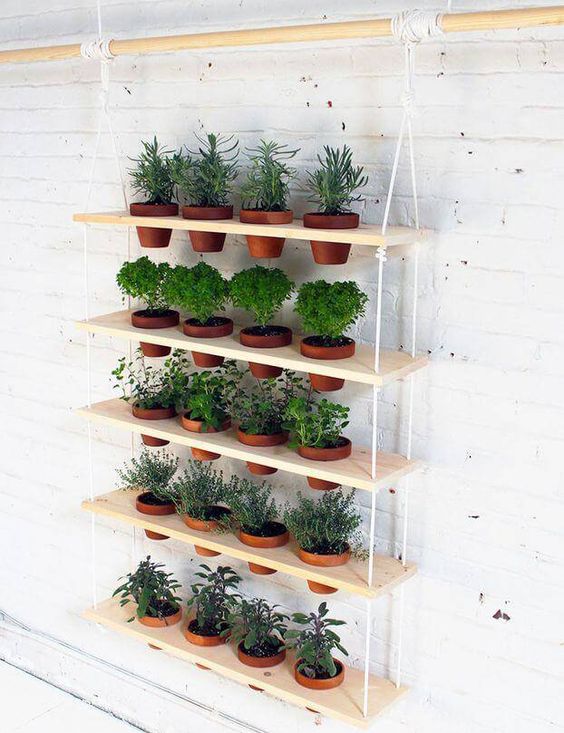 Horta vertical na varanda é ideal para quem gosta de um tempero orgânico para suas refeições. 