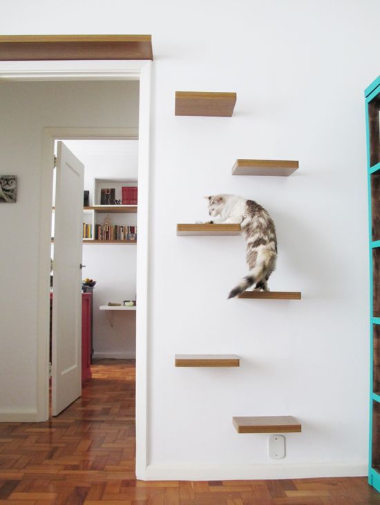 Escadas criadas com prateleiras para compor uma decoração para gatos.