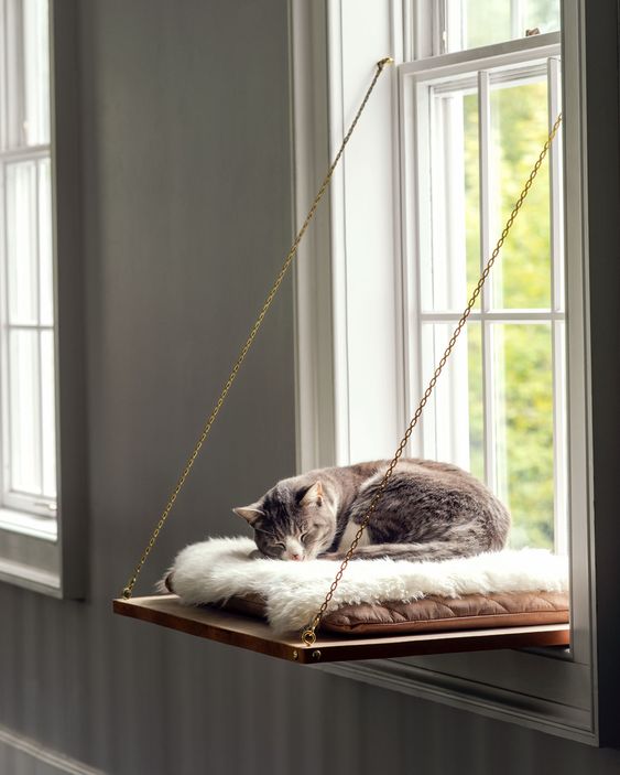 A janela é uma excelente opção para ser utilizada na decoração para quem tem gato.