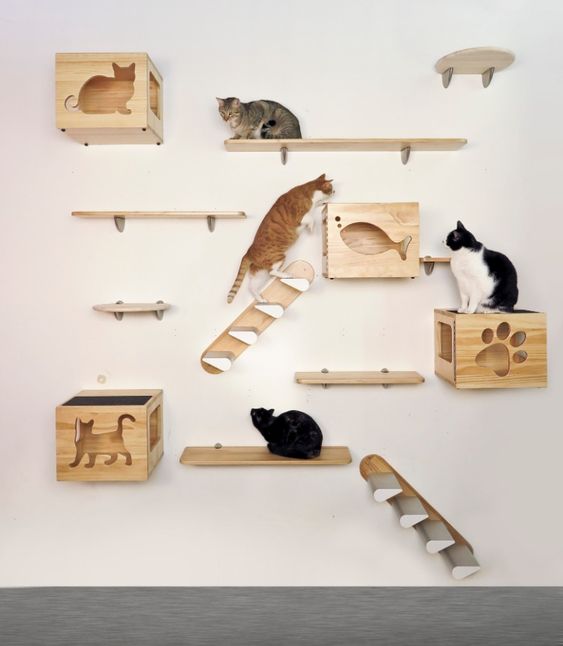 Playground com diversos elementos compondo decoração para gatos.