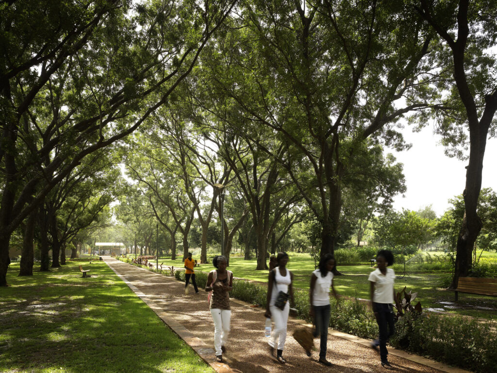 Fotografia de uma das passagens do parque, com árvores altas demarcando e sombreando todo o caminho. Há pessoas caminhando e praticando atividades físicas no local.