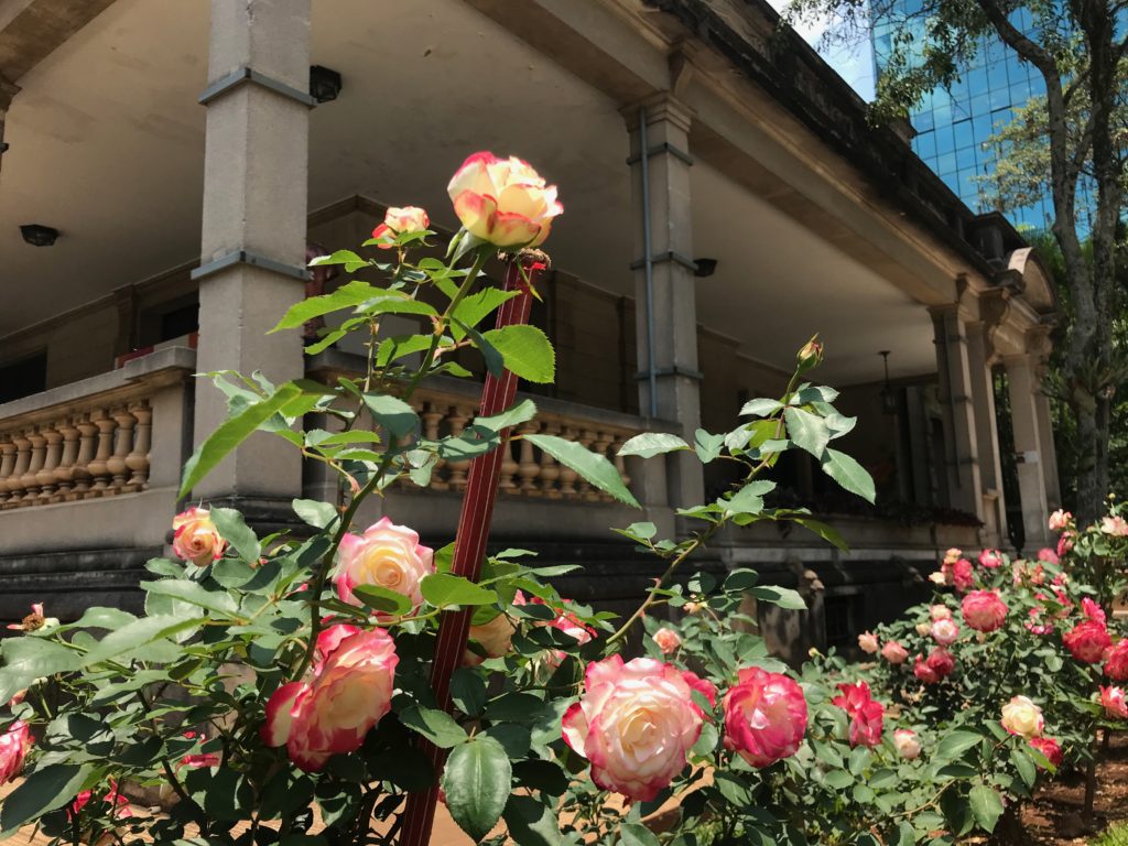Jardim da Casa das Rosas.