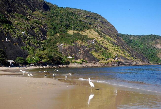 Praia de Itaipu possui com morros ao fundo e pássaros na areia a beira da praia. 