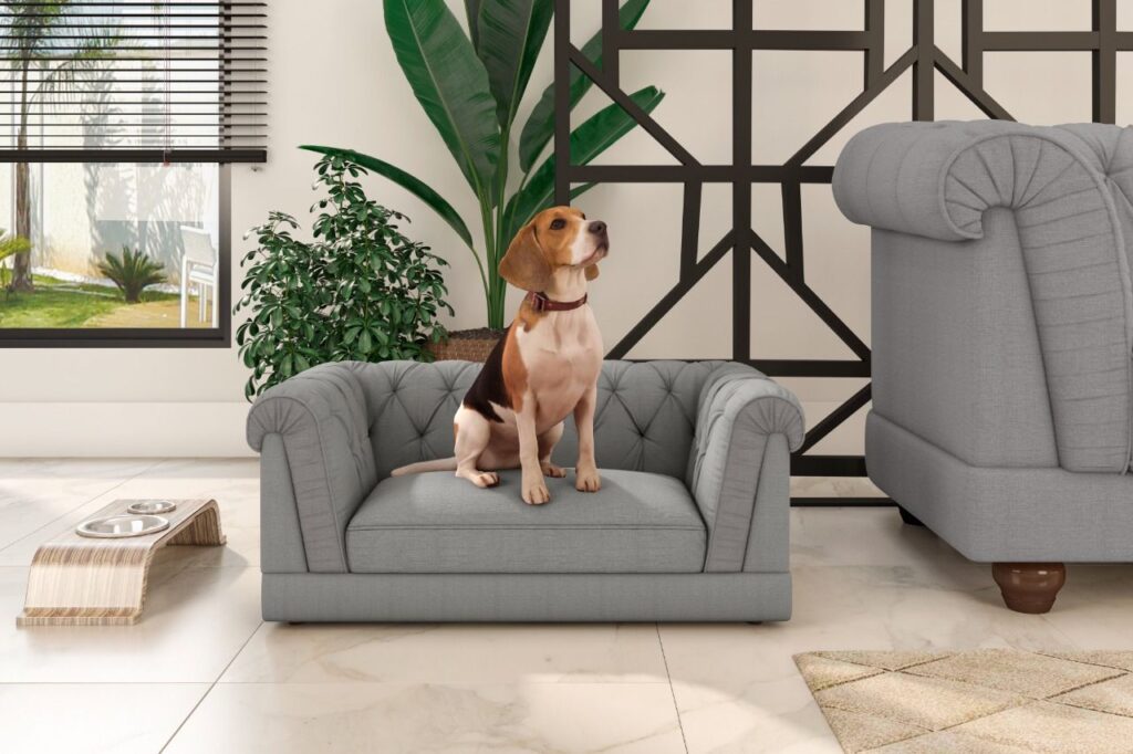 Sofá-cama cinza com um cachorro de porte pequeno em cima, ao lado um sofá da mesma cor.