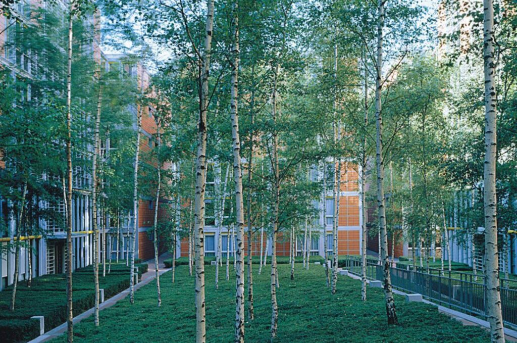 Fotografia da área descoberta do edifício, com gramado e árvores altas.