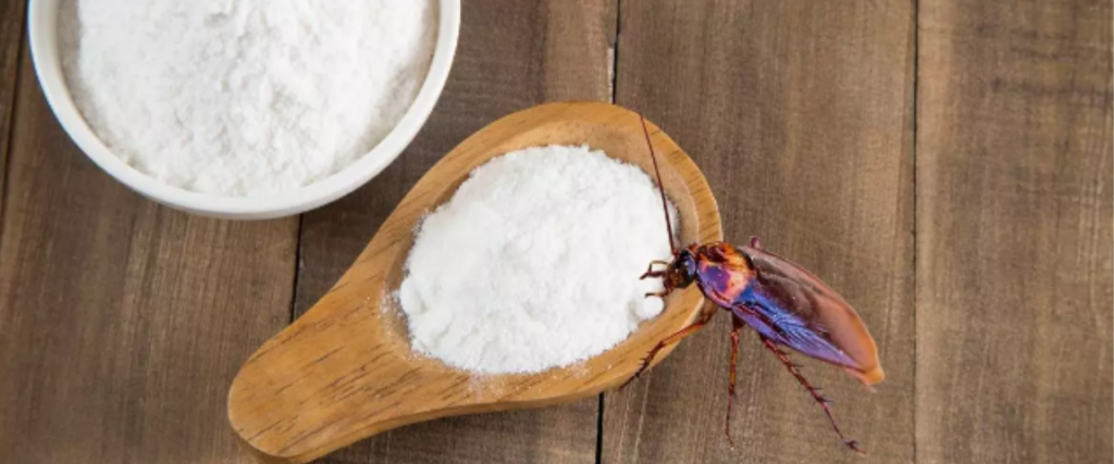 Utilize uma mistura de açúcar com bicarbonato para eliminar baratas. 